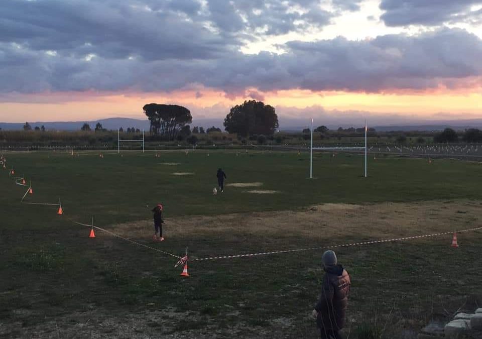 Campionati Regionali di Corsa Campestre