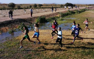 CdS cross country 2020 prima fase – il punto di Salvo Runner