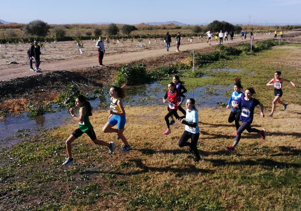 CdS cross country 2020 prima fase – il punto di Salvo Runner